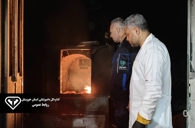 لاشه گاو مبتلا به لاغری مفرط در کشتارگاه شوش معدوم شد